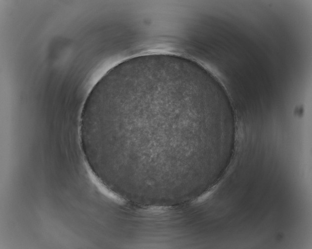 X0000111641423200907311241