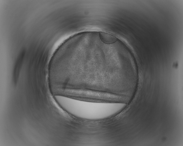 X0000111641424200907311241