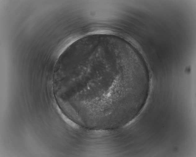 X0000111641425200907311241