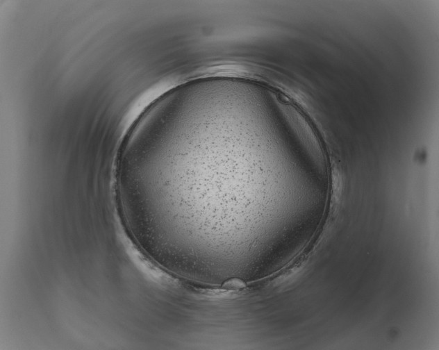 X0000111641426200907311241