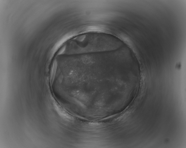 X0000111641427200907311241