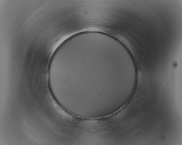 X0000111641428200907311241