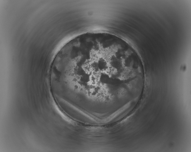 X0000111641429200907311241