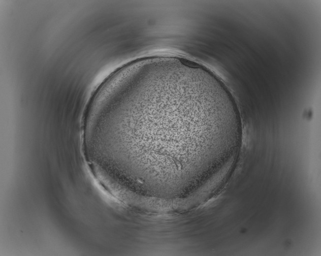 X0000111641430200907311241