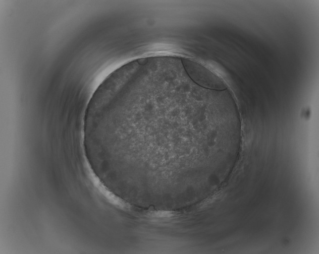 X0000111641431200907311241