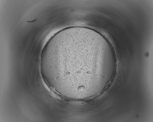 X0000111641432200907311241