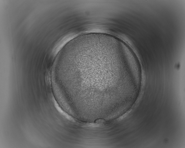 X0000111641433200907311241