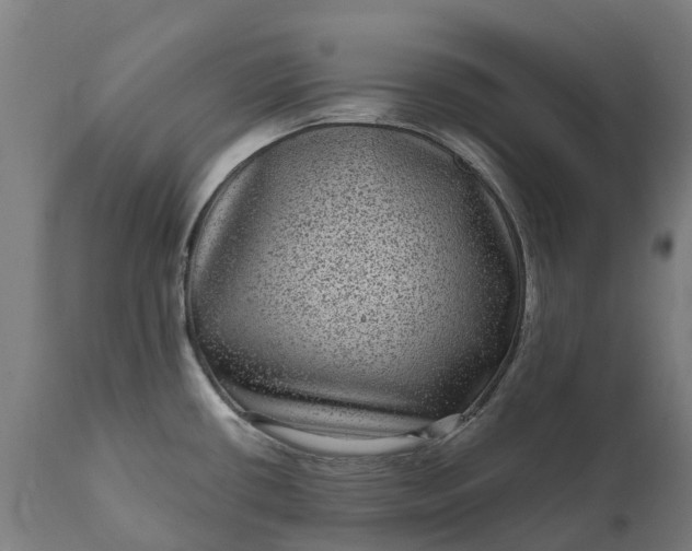 X0000111641434200907311241