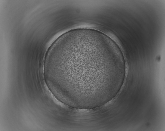 X0000111641436200907311241