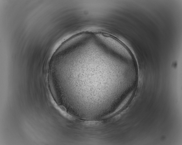 X0000111641437200907311241