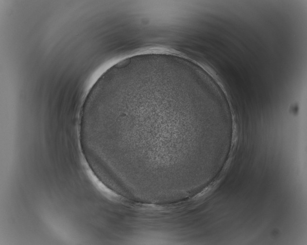 X0000111641438200907311241