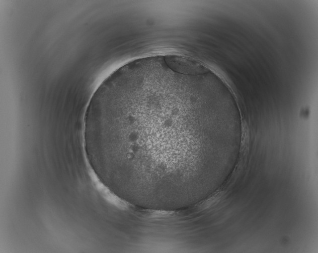 X0000111641439200907311241