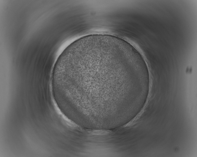 X0000111641440200907311241