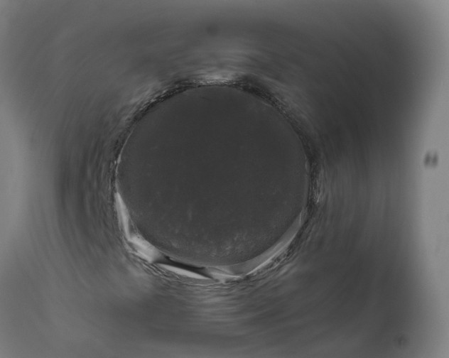 X0000111641441200907311240