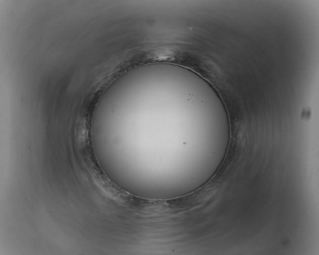 X0000111641442200907311240