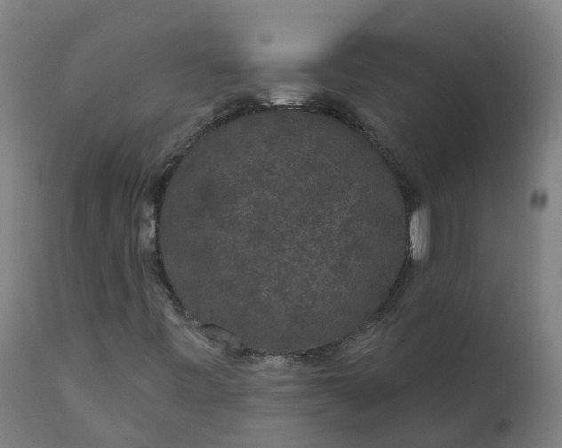 X0000111641443200907311240