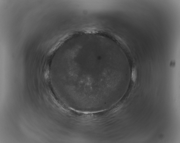 X0000111641444200907311240