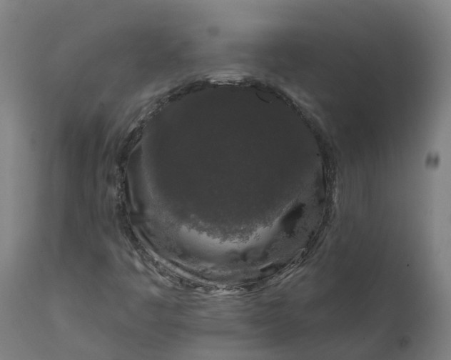 X0000111641445200907311240