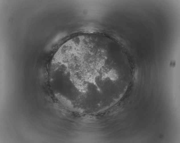 X0000111641446200907311240