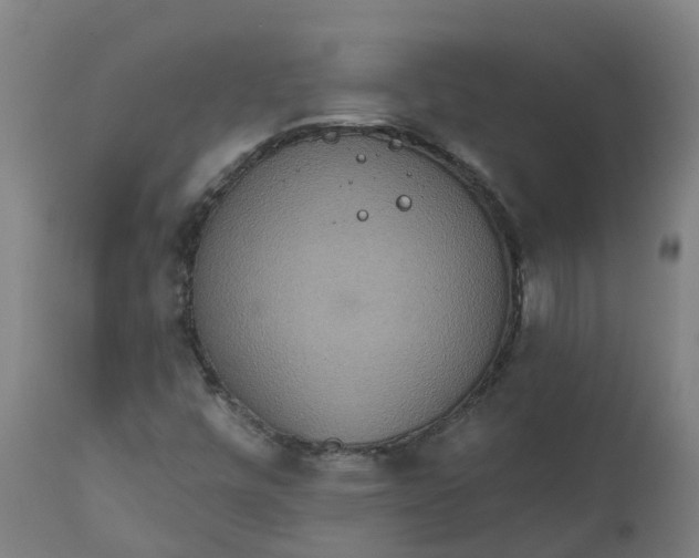 X0000111641448200907311240