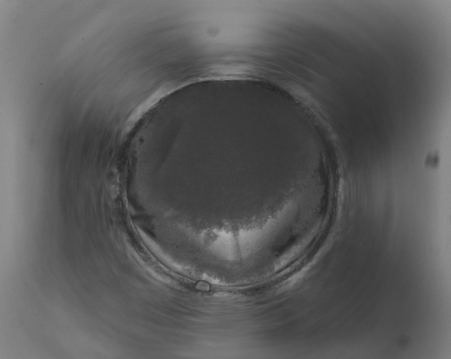 X0000111641449200907311240