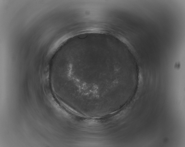 X0000111641450200907311240