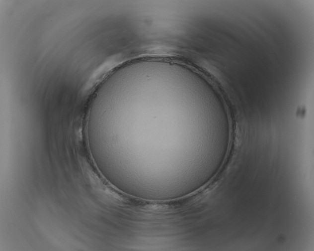 X0000111641451200907311240