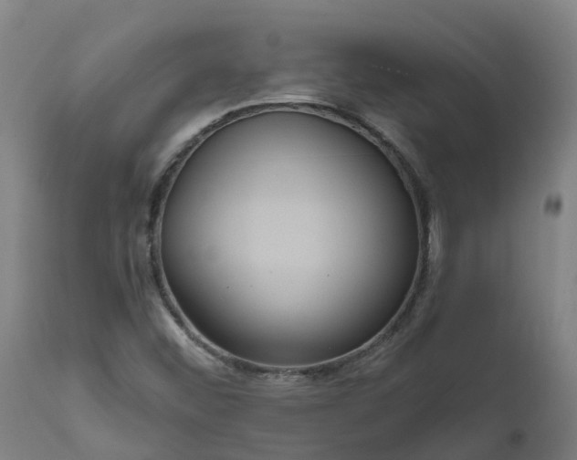 X0000111641452200907311240