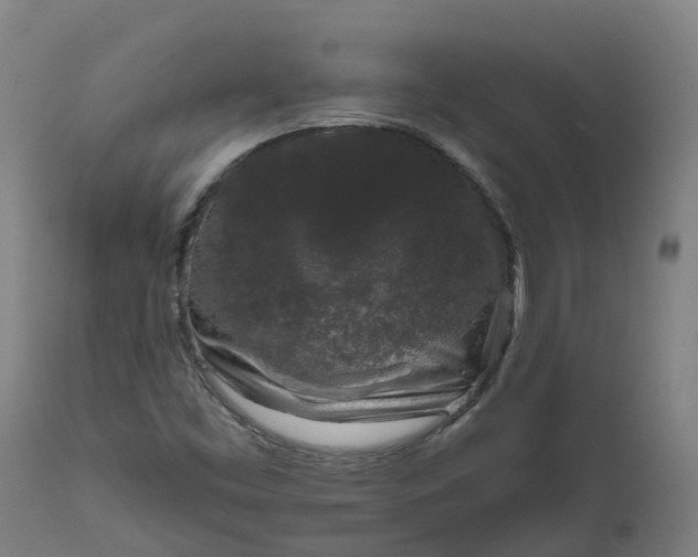 X0000111641453200907311240