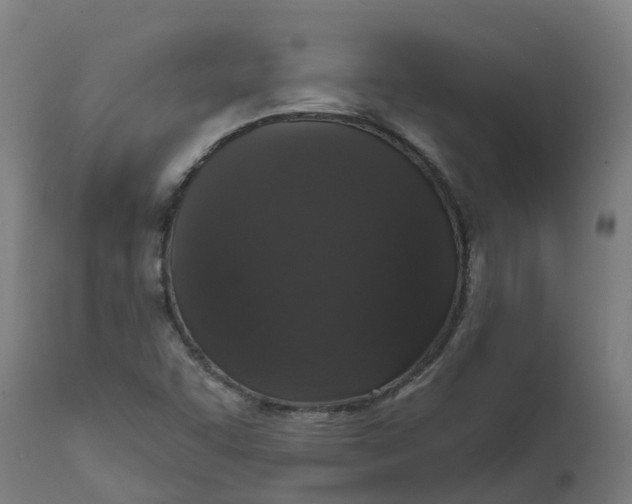 X0000111641455200907311240