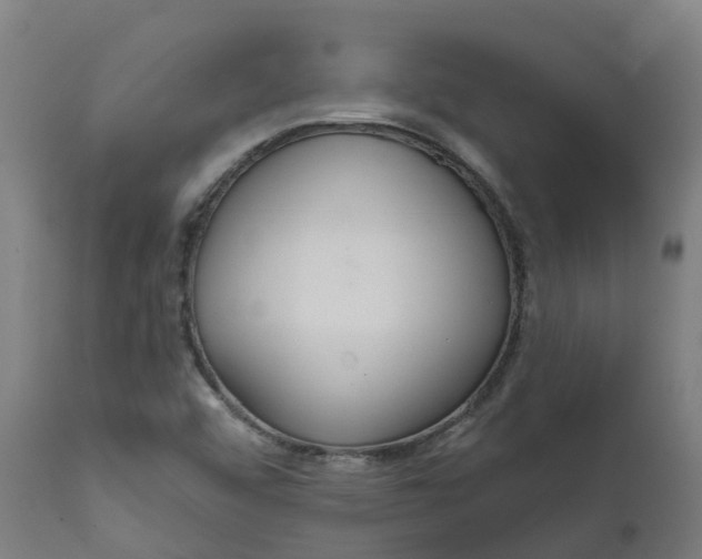 X0000111641456200907311240