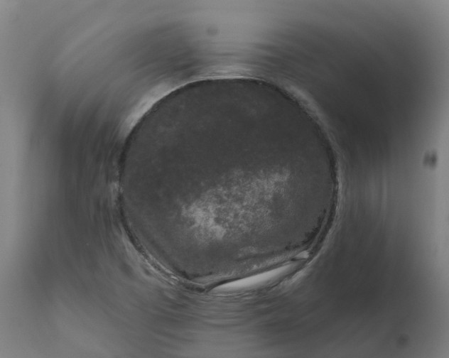 X0000111641457200907311240