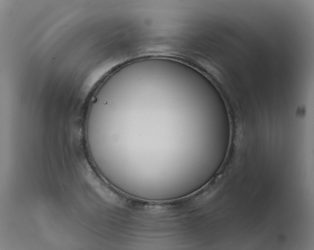 X0000111641458200907311240