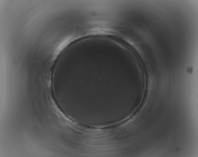 X0000111641459200907311240