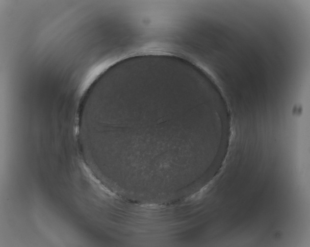 X0000111641461200907311240