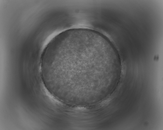 X0000111641462200907311239