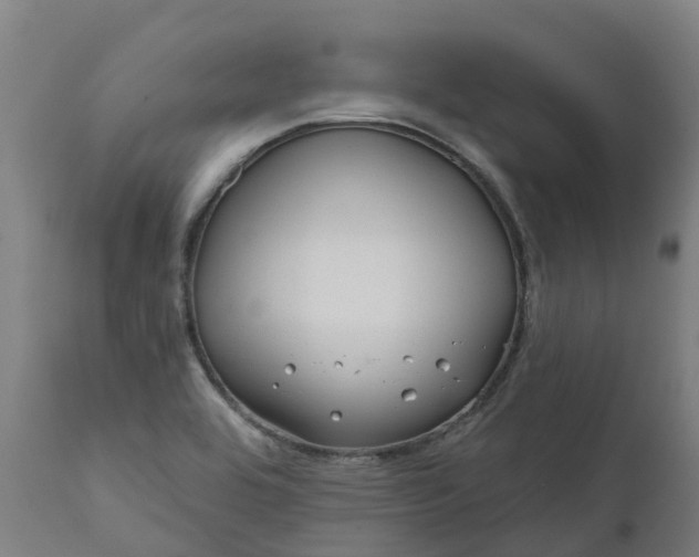 X0000111641464200907311239