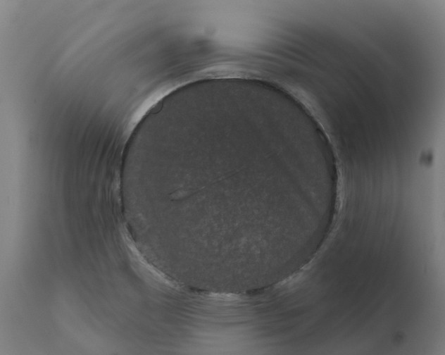 X0000111641465200907311239