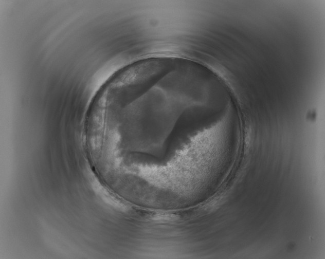 X0000111641466200907311239