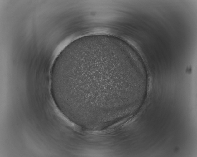 X0000111641467200907311239