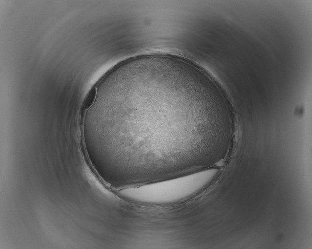 X0000111641468200907311239