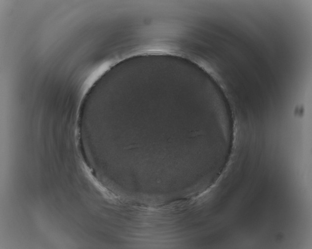 X0000111641469200907311239