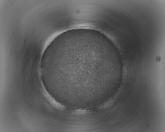 X0000111641470200907311239