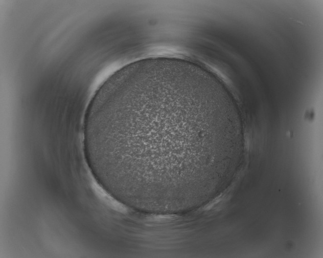 X0000111641471200907311239