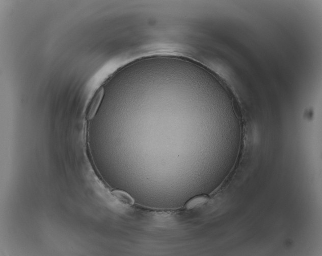 X0000111641472200907311239