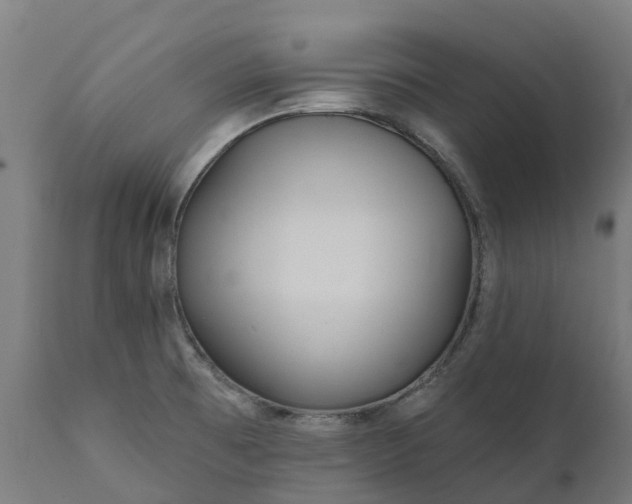 X0000111641473200907311239