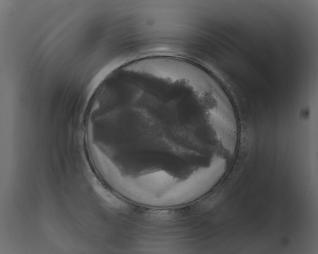 X0000111641474200907311239