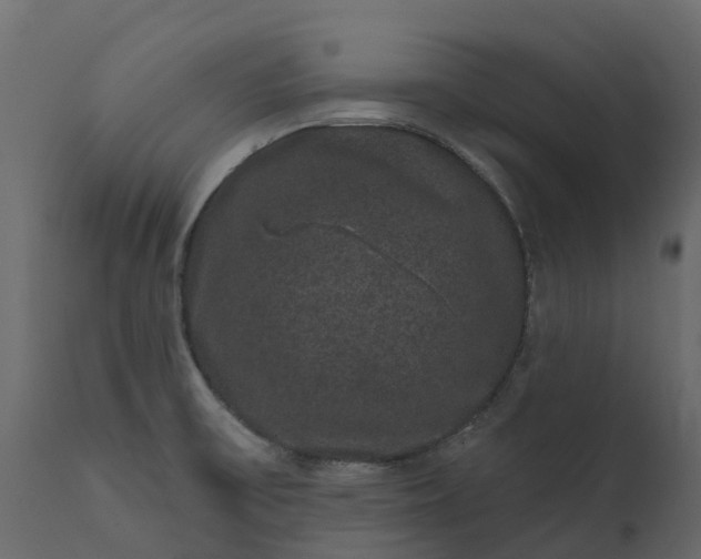 X0000111641475200907311239