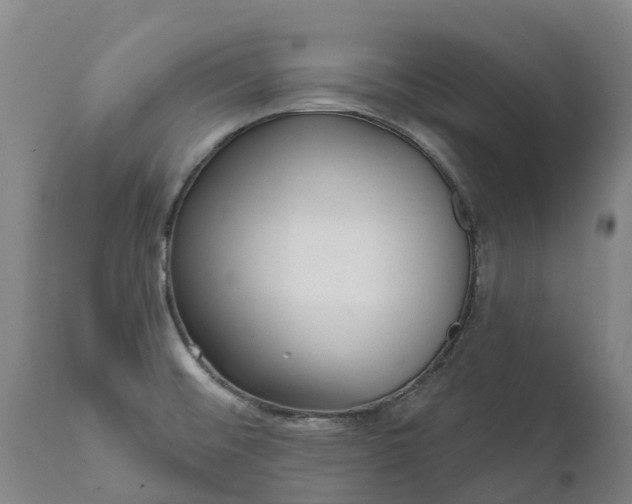 X0000111641476200907311239