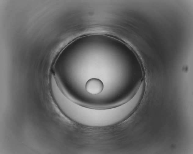 X0000111641477200907311239